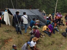 TEXTO ÍNTEGRO: La VIOLENCIA provocada por conflictos entre CÁRTELES ha DESPLAZADO a (+)9 MIL MEXICANOS de sus HOGARES
