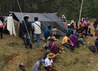TEXTO ÍNTEGRO: La VIOLENCIA por lucha entre CÁRTELES DESPLAZA a (+)9 MIL MEXICANOS, año con AÑO