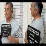 columna-el bronco