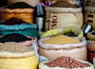 Las EXPORTACIONES de GRANOS BÁSICOS del PAÍS se DESPLOMARON 76%