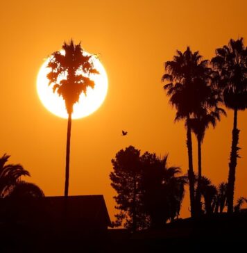 TEXTO ÍNTEGRO: El PLANETA está por vivir las OLAS de CALOR más EXTREMAS en la historia del HOMBRE