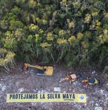 TEXTO ÍNTEGRO: SEDENA usó el presupuesto etiquetado para CAMBIO CLIMÁTICO en MEGAPROYECTOS
