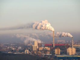 10 PAÍSES lideran la EMISIÓN de GASES CONTAMINANTES; esto GANAN por cada KILO de CO2 generado