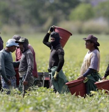 TEXTO ÍNTEGRO: MIGRANTES en EU crearon 14.5 BDD entre 1994 y 2023; Política de TRUMP trajo Caída FISCAL
