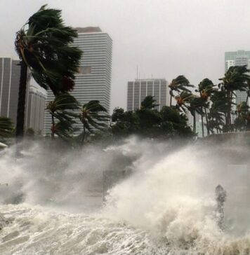 CIENTÍFICOS advierten sobre el Potencial FORTALECIMIENTO del FENÓMENO global de ‘EL NIÑO’
