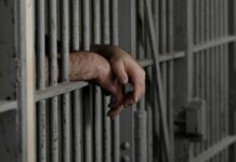 Las DETENCIONES se aceleraron en lo que va del GOBIERNO de Claudia SHEINBAUM