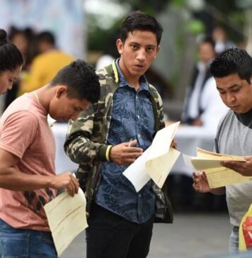 El NÚMERO de JÓVENES que No ESTUDIAN Ni TRABAJAN no ha reducido a pesar de los APOYOS