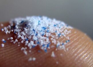 Los MIMCROPLÁSTICOS ya CONTAMINAN ECOSISTEMAS de fuentes HIDROTERMALES