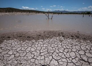 10 ENTIDADES presentan alta exposición ECONÓMICA al fenómeno climático «EL NIÑO»