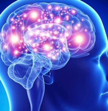 CAMBIO CLIMÁTICO tiene impacto en el CEREBRO HUMANO y afecta la SALUD MENTAL de las COMUNIDADES