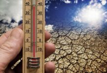El MUNDO superará el umbral de +1.5°C; investigadores advierten sobre el avance de nuevas AMENAZAS AMBIENTALES