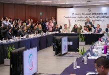 El 84% de las COMISIONES ordinarias del Senado no han cumplido con SESIONAR
