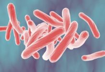 TUBERCULOSIS y SARAMPIÓN eleva las MUERTES en la SIERRA TARAHUMARA principalmente entre la población indígena