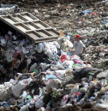 MÉXICO genera TONELADAS de BASURA y DESECHOS; un pequeño porcentaje recibe TRATAMIENTO