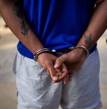 ALERTA: Proliferan las BANDAS Criminales de EXTRANJEROS, quienes se han expandido por Suelo AZTECA