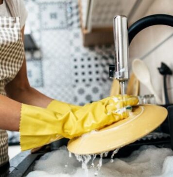 TEXTO ÍNTEGRO: Trabajo ‘No Remunerado’ de la Mujer en el HOGAR llega a 23,9% del PIB