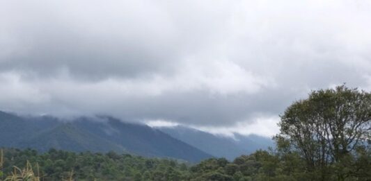 Delincuentes AMBIENTALES masacran las ÁREAS NATURALES y los HÁBITATS PROTEGIDOS