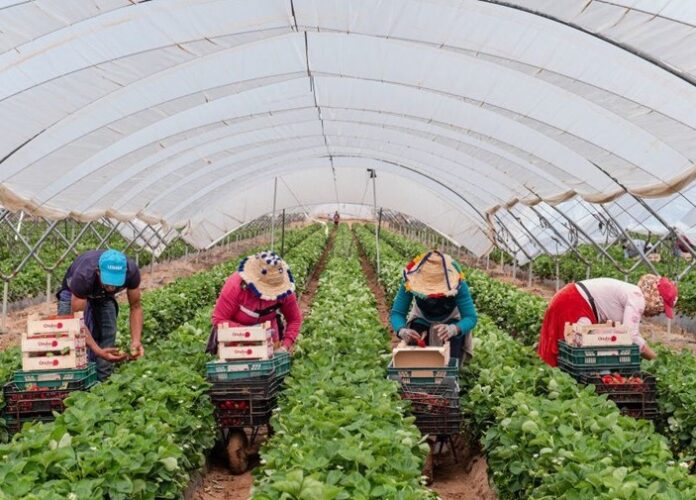 trabajadores-migrantes