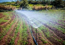 REFORMA en materia de AGUA “mantiene los DERECHOS para HEREDAR y VENDER PROPIEDADES”