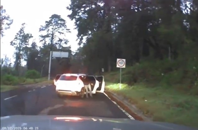 VIODE-ROBO TRES MARIAS