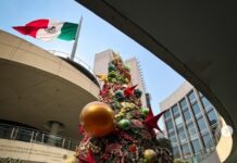 SENADO entregó de forma directa contrato por 5 MDP a empresa por encendido de dos ÁRBOLES de NAVIDAD