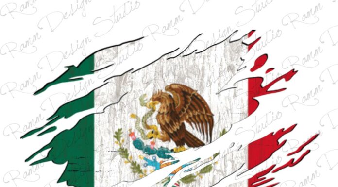 Hablar de SOBERANÍA en México es un acto de CINISMO POLÍTICO