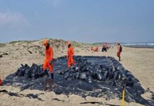 DERRAME de chapopote en el GOLFO de MÉXICO ha dejado impactos ECONÓMICOS y ECOLÓGICOS