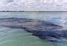 ECOCIODIO en GOLFO de MÉXICO; contingencia escala a COSTAS de 4 ESTADOS