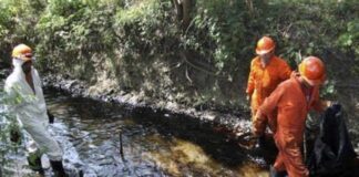 TEXTO ÍNTEGRO: PEMEX provoca ECOCIDIO al País, cuyos daños ascienden a +530 MIL MLLNS DLS