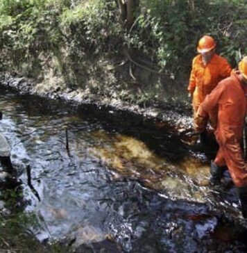 TEXTO ÍNTEGRO: PEMEX provoca ECOCIDIO al País, cuyos daños ascienden a +530 MIL MLLNS DLS
