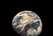Hasta el 40% de las TIERRAS del MUNDO sufren de DESERTIFICACIÓN y la DEGRADACIÓN del SUELO