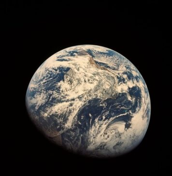 Más del 40% de las TIERRAS del PLANETA sufren de DESERTIFICACIÓN y la DEGRADACIÓN del SUELO