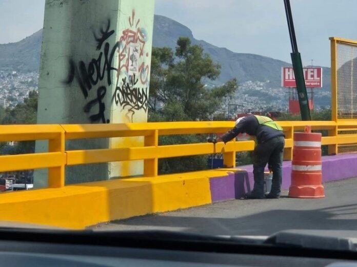 cdmx-pintura morada