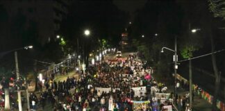 Michoacán, CDMX, Tamaulipas, Puebla y Veracruz las entidades con mayores DESAPARICIONES