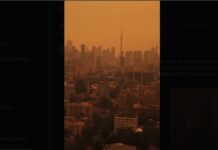 VIDEO: HUMO por INCENDIOS FORESTALES ASFIXIA a TORONTO