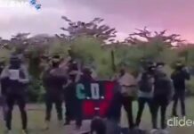 VIDEO: Integrantes del CÁRTEL de SINALOA lanza amenaza al GOBERNADOR de ZACATECAS, David MONREAL