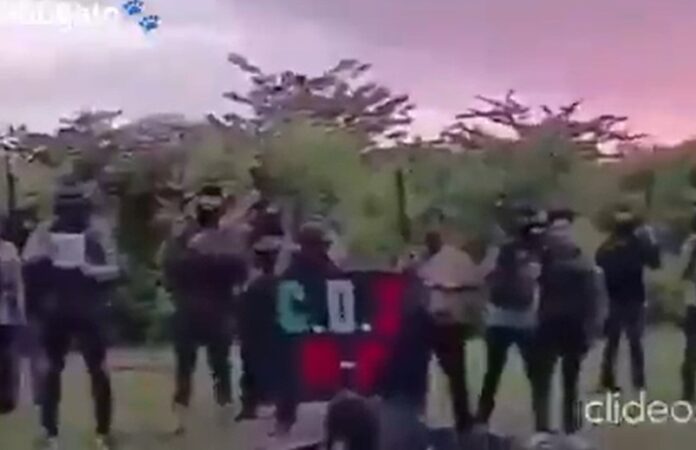 VIDEO-CDS