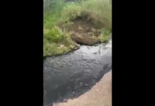 VIDEO: Captan DERRAME de COMBUSTIBLE por TOMA CLANDESTINA en Mineral de la Reforma