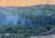 VIDEO: INCENDIO afecta a varias VIVIENDAS en San José de Comondú, BCS