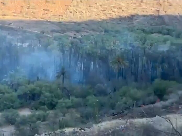 VIDEO-INCENDIO BCS