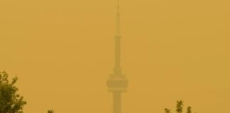 INCENDIOS FORESTALES aumentan la CONTAMINACIÓN del AIRE en CANADÁ y EU en Zonas Centro- Norte