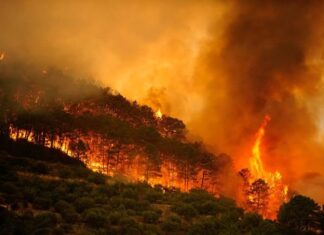 INCENDIOS FORESTALES en EUROPA golpean a la POBLACIÓN, el TURISMO y la ECONOMÍA
