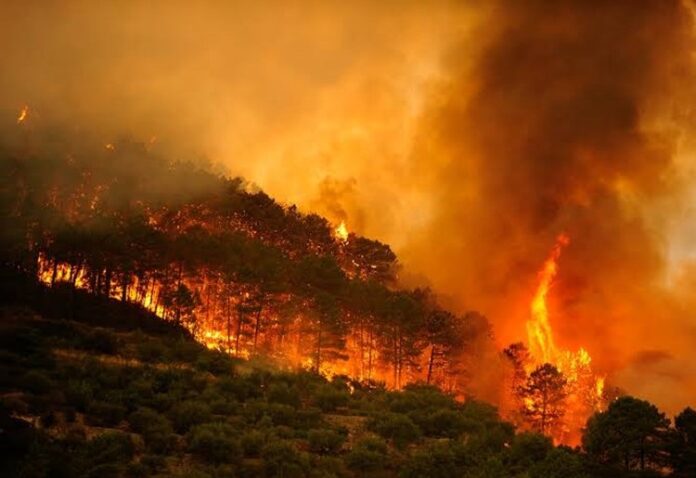 incendio forestal-españa2026