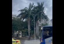 VIDEO: TEMPORALES con VIENTOS de más 100 km/h causan CAOS en BRASIL