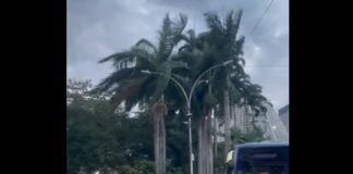 VIDEO: TEMPORALES con VIENTOS de más 100 km/h causan CAOS en BRASIL