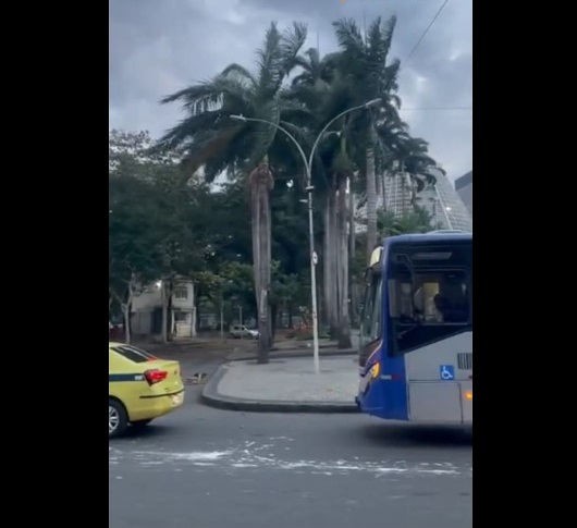 video-vientos brasil