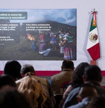 SHEINBAUM propone renovar la LEY AMBIENTAL de MÉXICO, aquí los Principales Cambios de la REFORMA