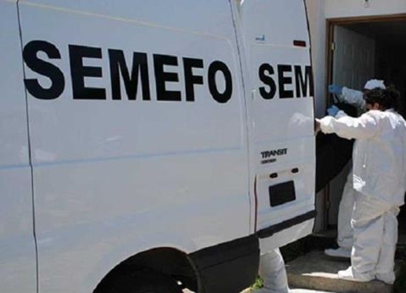 SEMEFO