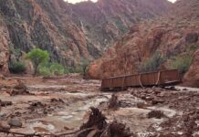 VIDEO: INUNDACIÓN en el GRAN CAÑÓN de EU deja dos MUERTOS y decenas de DESAPARECIDOS