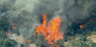 VIDEO: INCENDIO FORESTAL arrasa más de 20.000 HECTÁREAS en TEXAS